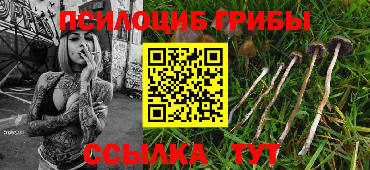 Псилоцибиновые грибы прущие грибы  Вход с VPN  Дмитров  Галлюциногенные грибы Cubensis 